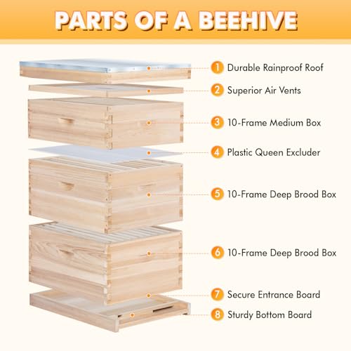 POLLIBEE Bee Hive,10 Frame Bee Hives Boxes Starter Kit, Langstroth Beehives Include 2 Deep Hive Boxes and 1 Medium Super Bee Box, Include Bee Hive Frames and Wax Foundation Sheet. - Image 3