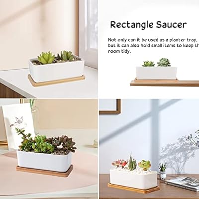 Favengo 4 pcs bandeja bambu rectangular 175 x 88 x 1cm bandeja madera pequena tablitas de bambu bandeja pequena de bambu para decorar para organizar para bano cocina para las cremas jabonera tapas