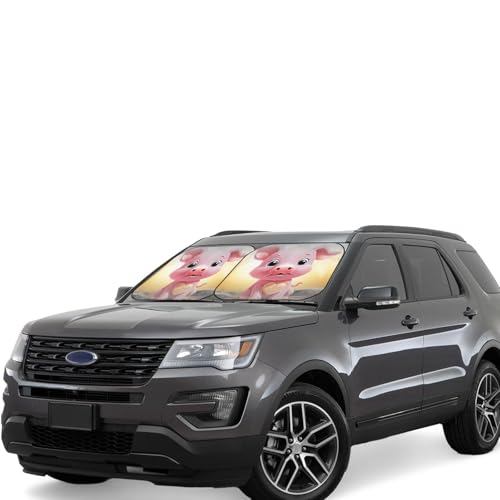 Pare-soleil pliable pour voiture en lot de 2 - Protection de pare-brise taille M pour SUV et berline
