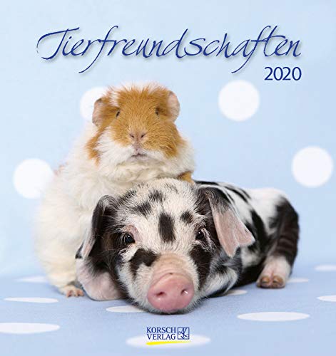 Tierfreundschaften 2020 aufstellbarer Postkartenkalender Korsch