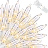 LAMPHOME Super-Bright Extendable Clear White Wire Christmas Lights Decoration 100Lights 19.6ft UL Certified Mini Bulb String Lights Set for Outdoor Christmas Tree Garden Holiday Patio Decor