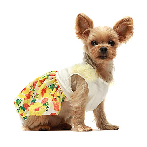 Fitwarm Vestido de verão com flores tropicais, roupas para cães, vestido para cães, roupas para cães