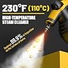 Pressurized Handheld Steam Cleaner with 10pcs Accessories & Safety Lock, Multi-Purpose & Powerful Home Use Steamer for Cleaning, Car, Bathroom, Shower, Upholstery, Grout, Window (Black)