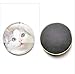 Produktbild kdjshhs Wandaufkleber Nette Katzen-Karikatur-Magnet-Aufkleber-Tierstil-Glaskühlschrank-Magnetischer Aufkleber Für Inneneinrichtung Kühlschrank-Abziehbilder 12Pcs / Lot