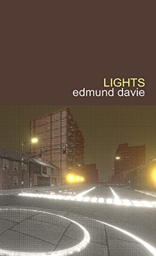 Lights: A Novel With an Index