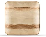 DuVert Paris 25 pièces - Assiette carrée jetable de 25 cm (10 pouces), compostable, vaisselle en feuille de palmier pour Noël, anniversaire, barbecues, événements, pique-niques et fêtes