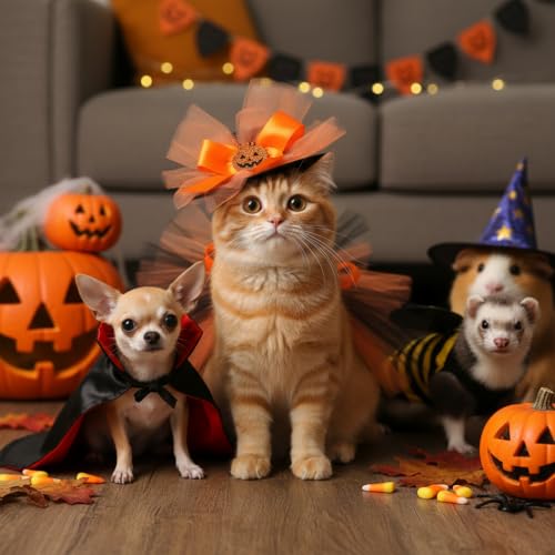 Disfraz Halloween para Perros con Falda y Sombrero miniatura 3