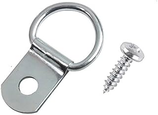 D Rings & Screws for Picture Frame Hanging (10 Pack)
