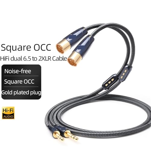 Câble 6,35 mm vers XLR mâle double pour table de mixage et micro