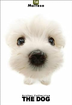 Maltese