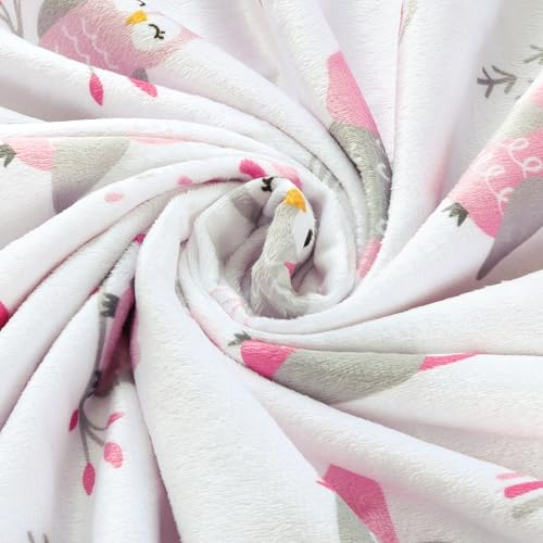 Image of BORITAR Baby Blanket for Boys Girls Soft Plush Minky Fabric with Dotted Backing, Lovely Animal Owl Design Blanket for Toddler Newborn 30 x 40 Inch(75x100cm)