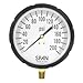 Thuemling LFS-410-600-G-KEMX (SG09142) 4.5" Filled Industrial Pressure Gauge, 0 to 600 psi