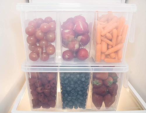 Image of 3 Section Plastic Food Storage Container Fridge Storage Pack of 1 Refrigerator Organizer Container Fridge Storage Jar, Grocery Organizers For Vegetables,Clear with Lid (2 Liter)