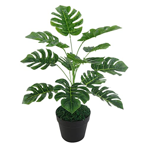 Jhemaoi tFCNO[ lHϗtA G} ^ϗt 58CM CeA ͎Os ȒP? AƒA悯oRj[AAIȑAz̃MtgɍœK (Xe)