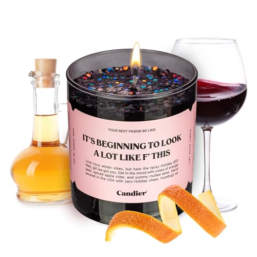 It’s Beginning to Look a Lot Like F This Scented Candle, Natural Soy Wax Candle with Orange Peel and Spiced Apple Cider Notes, Long-Lasting 60-Hour Burn, Candier by Ryan Porter