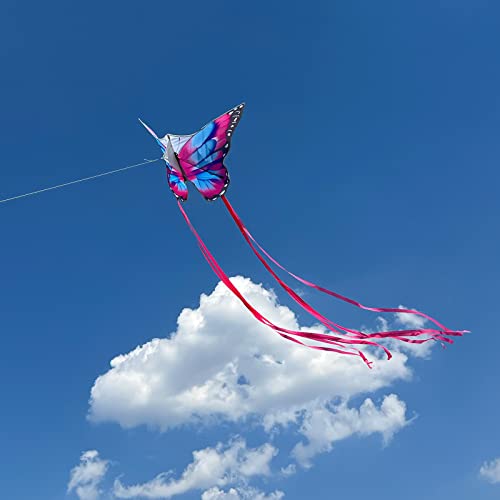 Pink Butterfly Kite, Kite for Kids,Easy to Fly by Simxkai