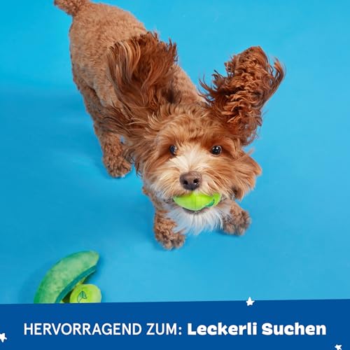 Barkbox 2-in-1 Interaktives Hundespielzeug aus Plüsch – Spielzeug zum Aufreißen und Aufdecken für Hunde und Welpen – anregendes, quietschendes Haustierspielzeug | Erbsen in Einer Schote (klein)
