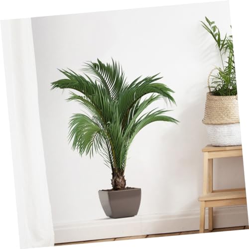 Pegatina de pared de interior autoadhesiva Cabilock vinilos lavables de plantas 4 piezas 5