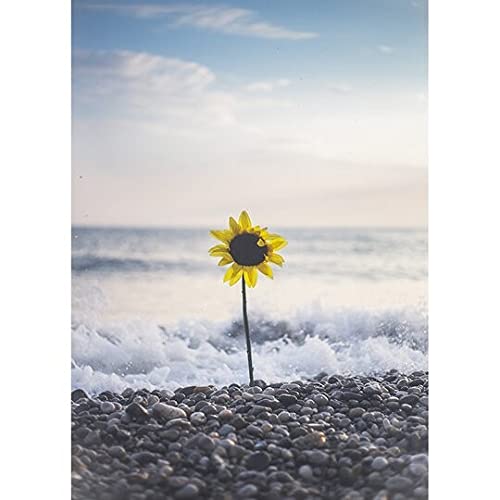 Broderie diamant tournesol de plage pour décoration murale salon et maison 50x140cm