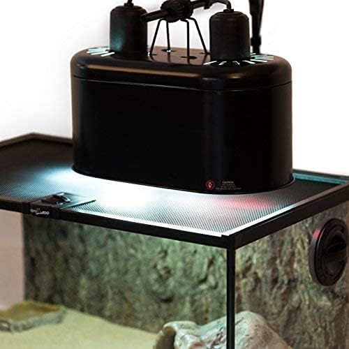 REPTI ZOO Dual Reptile Light Fixture with red and white bulbs illuminated