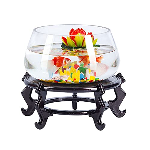 Aquarium de bureau compact pour initier les enfants