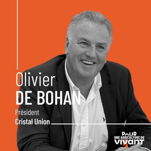 Olivier de Bohan - Cristal Union