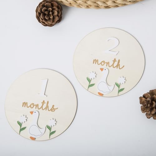 Image of Goose Monthly Milestone Cards - Wooden Discs & 3D Baby Monthly Milestone Signs for Baby Shower & Announcement