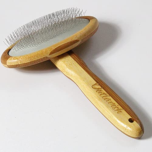 Amazon Best Sellers Best Dog Brushes