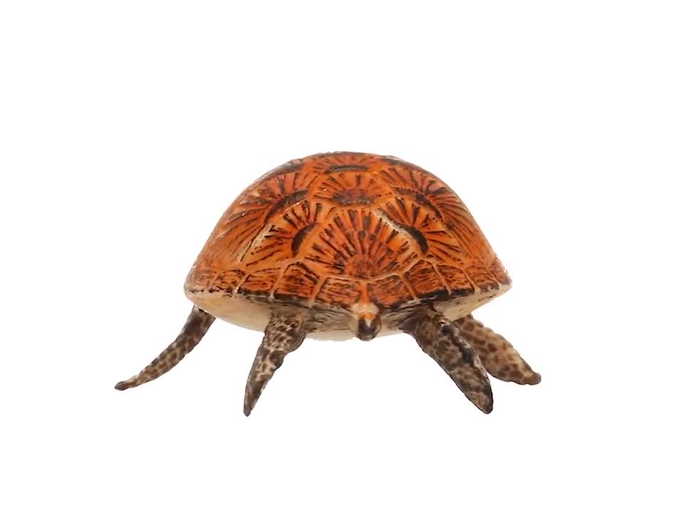 Amazon.co.jp: Schleich シュライヒ ワイルドライフ ウミガメ 14695