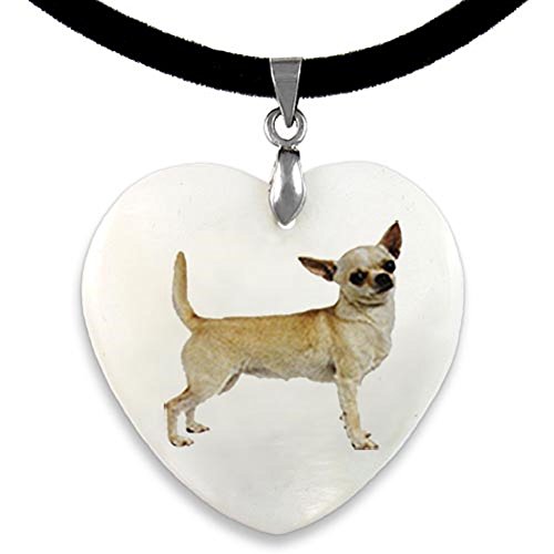 Timest - Chihuahua de pelo corto Colgante Nácar en forma de Corazón PP0231