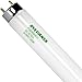 LEDVANCE FO32/850/ECO (12 Pack) - 32 Watt T8 Fluorescent Tube Light Bulb F32T8 32W 5000K