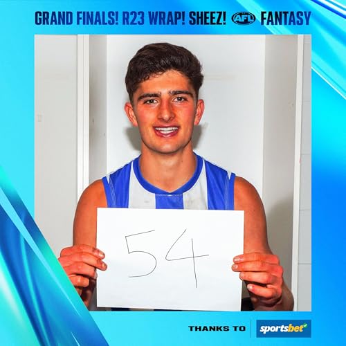 Fantasy Grand Finals, R23 review, Sheez's 186 cover art