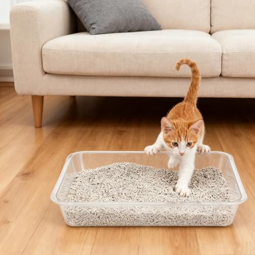 Rainmae juego 3 cajas de arena portátiles para gatos pequeños miniatura 5