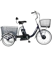 Amazon | 【100%完成車納品】 PELTECH(ペルテック) 電動アシスト三輪車