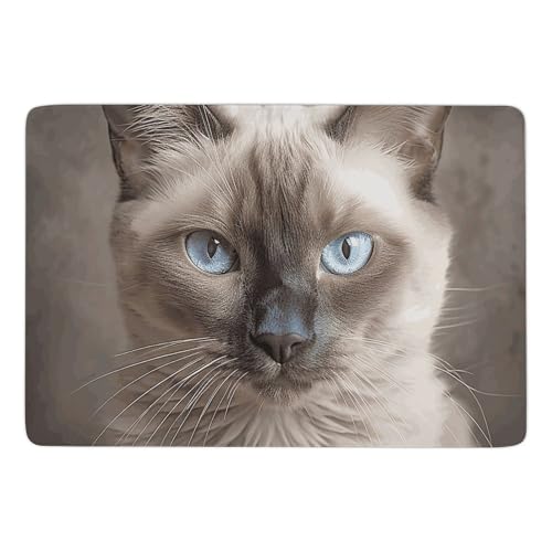 Tapis de bain antidérapant séchage rapide tapis sol baignoire
