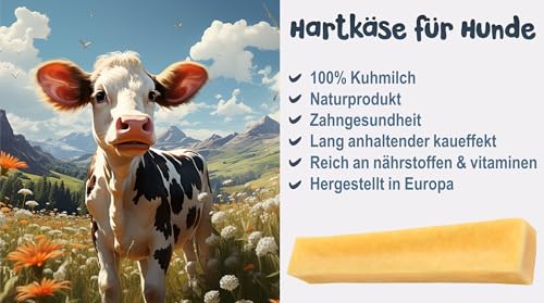 Kaukäse für Hunde XL3 Stück Käse Kauknochen Hartkäse für Hund