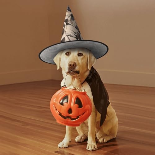 Chapeaux de sorcière à suspendre Halloween et décoration de cour avec motif carlin