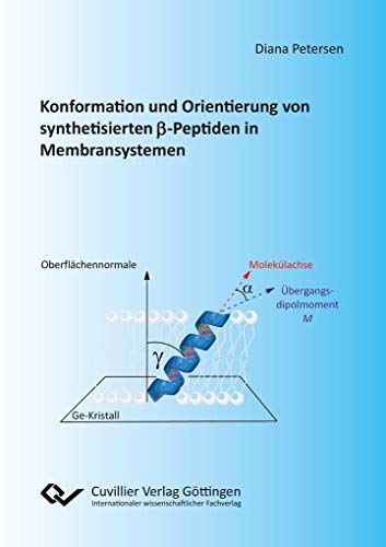 Konformation und Orientierung von synthetisierten -Peptiden in Membransystemen