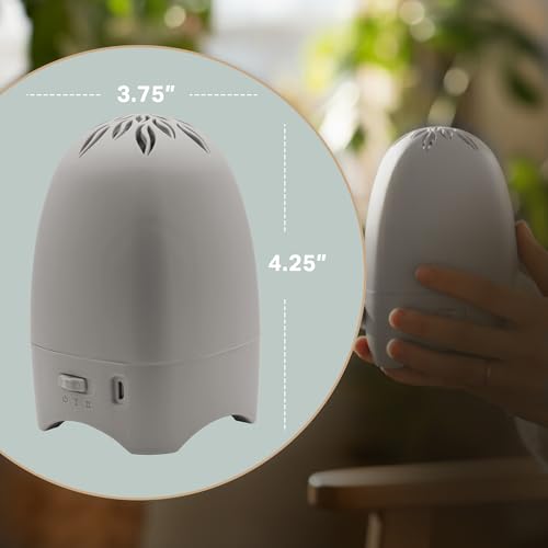 Diffuseur sec Belle Aroma Essential Breeze Max avec parfum 30 jours - 3