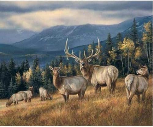 Image of Stamped Cross Stitch Kits, Full Range of Embroidery Starter Needle tip Kits, Cross Stitch Stamped Pattern, 11CT Pre-Printed Fabric DIY Handmade by Adults Gift, 16x20 inches - Mountain Elk pattern