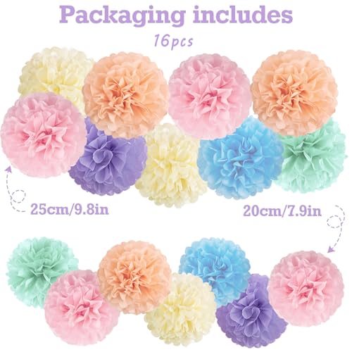 16PCS Pastel Paper Tissue Pom Poms Decoration Macaron Rainbow Candy Ice Cream Easter Paper Flower Balls Wall Hanging Decor for Birthday Wedding Spring Pastel Decoration