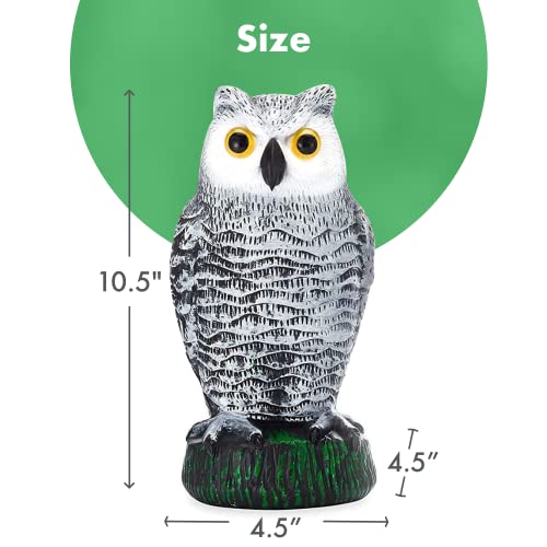 Horned Fake Owl And Bird - 10.5" Plastic Owls To Scare Birds Away - Effective Bird Devices - Scarecrow For Garden - Bird Devices Outdoor, Keep Birds Away #TOP2