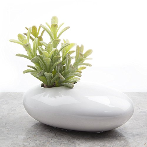 Chive – Pebble Ceramic, Multi Use Indoor Planter Pot, Ikebana Flower Vase And Air Plant Container Great For Flowers, Succulents, Cactus Gardens (White) #TOP4
