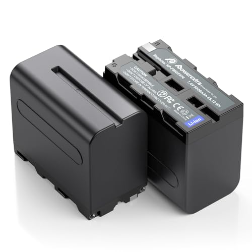 2 Pack Replacement NP-F970 Battery Compatible with Sony DCR-VX2100 DSR-PD150 DSR-PD170 FDR-AX1 HDR-AX2000 HDR-FX1 HDR-FX7 HDR-FX1000 HVL-LBPB HVR-HD1000U HVR-V1U HVR-Z1P