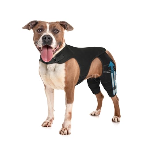 Image of Dog Knee Brace for Hind Leg - Adjustable Dog Rear Leg Support Brace with 4 Metal Stabilizers, Helps with Torn CCL, Luxating Patella, Ligament Injuries, Hip Dysplasia,L
