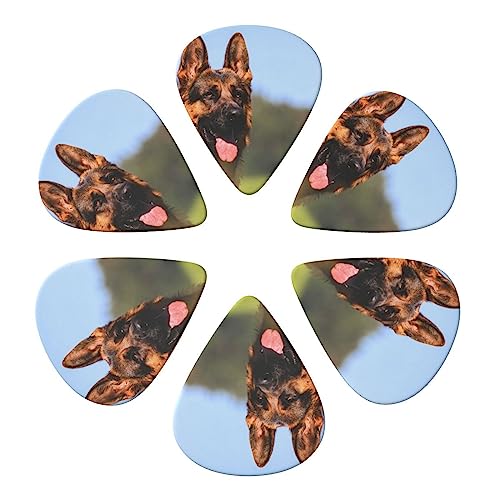 M^[sbN 6pbN ř vg M^[sbNz_[ p[\iCYꂽM^[sbN AR[XeBbNM^[ oCI EN x[X