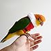 CXYYXF Bird Clothes Birds Flight Suit, Christmas Hoodie for Parrots Cockatiel Sun Conure Christmas Party Cosplay Photo Prop Bird Small Animals (Without Diaper,M)
