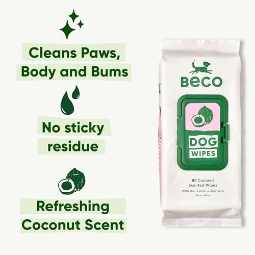 Beco Dog Wipes - 1 Pack of 80, Coconut Scented, For Paws, Body and Bum, Plant-Based Grooming Wipes - Image 3