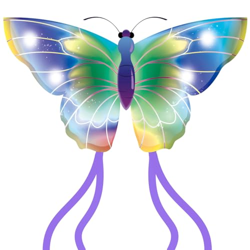 Butterfly Kite with Long Tails