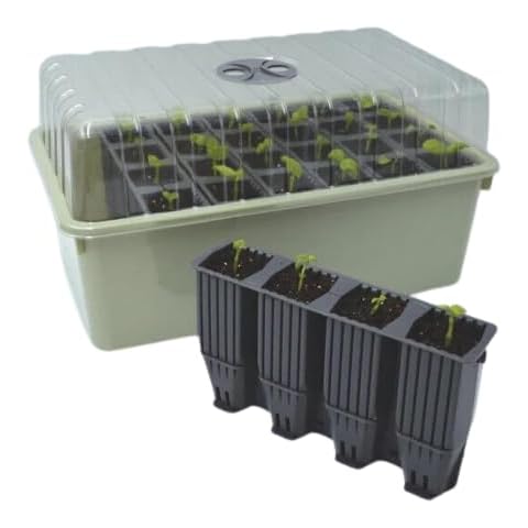 Oakland Gardens 28 Cell Deep Root Trainers Cover